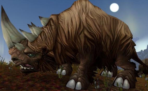 Rhino Meat Farming Guide